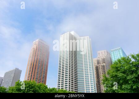 Alberi verdi di fronte ai grattacieli lungo Michigan Avenue in Il raccordo sud di Chicago in un giorno di Foggy Foto Stock