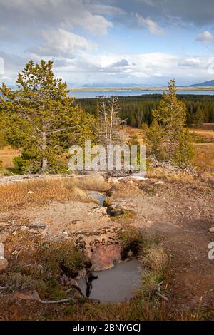 WY04375-00...WYOMING - sorgenti termali presso la cresta del Yellowstone Lake Overlook Trail nel Parco Nazionale di Yellowstone. Foto Stock