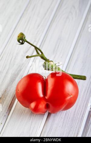 Frutta o verdura brutta. Pomodoro mutante gravemente malformato. I negozi di alimentari preferiscono soprattutto frutta e verdura di qualità migliore. La frutta brutta non è in alta d Foto Stock