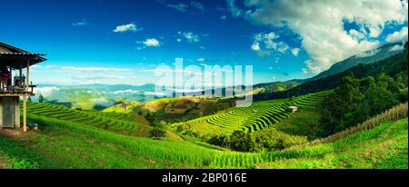 Panorama bellissime risaie terrazzate sullo sfondo di una montagna panoramica in nebbia. Famosa attrazione e destinazione di viaggio in Asia. Foto Stock