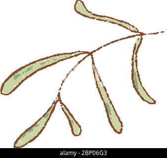 Icona verde fresco di Tarragon con ramoscelli isolati. Primavera Rareripes. hastings, mercato agricolo, illustrazione vettoriale. Annata disegnata a mano Illustrazione Vettoriale