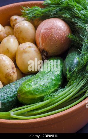 Verdure raccolte di fresco in una ciotola di creta. Aneto, cetrioli, patate e cipolle. Verdure self-grown. Vista dall'alto. Primo piano. Foto Stock