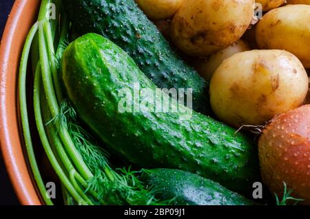 Verdure raccolte di fresco in una ciotola di creta. Aneto, cetrioli, patate e cipolle. Verdure self-grown. Vista dall'alto. Primo piano. Foto Stock