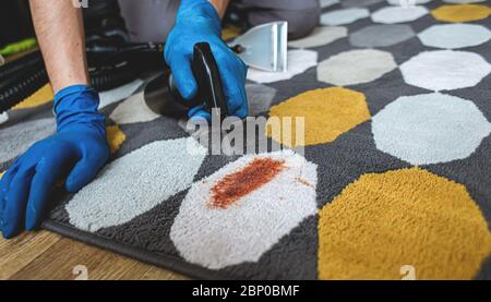 Primo piano della colorazione di pulizia delle mani della persona sul tappeto con spugna. Foto Stock