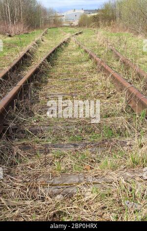 La ferrovia si estende in lontananza sullo sfondo di giovani verdi erba e alberi in primavera. Foto Stock