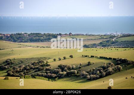 Brighton, Regno Unito. 16 maggio 2020. La Rampion Wind Farm al largo della costa del Sussex vicino Shoreham-by-Sea nel tardo pomeriggio. Credit: Andrew Hasson/Alamy Live News Foto Stock