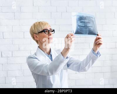 Medico guarda ai raggi X. Donna dentista guarda l'istantanea dei denti su sfondo bianco muro di mattoni Foto Stock