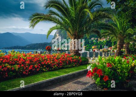 Meta estiva di vacanza, bella passerella con fiori colorati nel parco pubblico e palme sulla riva del lago, lago di Como, Menaggio, Lombardia re Foto Stock