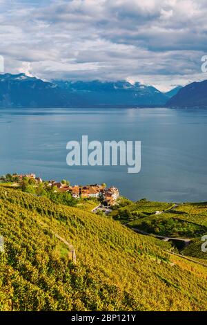 Lavaux, Svizzera: Il Lago di Ginevra e il paesaggio delle Alpi svizzere visto dalle tarraces dei vigneti di Lavaux nel Canton Vaud Foto Stock