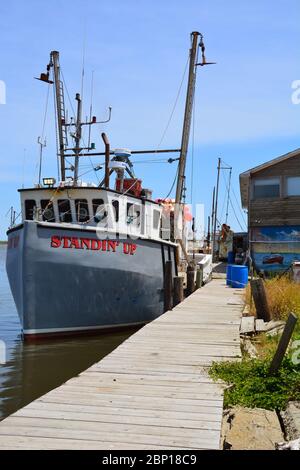 Il peschereccio da traino Standin Up attraccato al porto di Wanchese, che supporta un numero modesto di imbarcazioni commerciali da pesca all'estremità meridionale dell'isola di Roanoke. Foto Stock