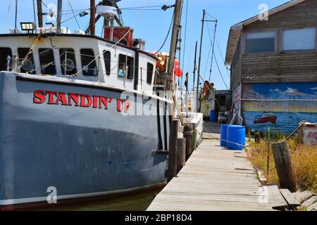 Il peschereccio da traino Standin Up attraccato al porto di Wanchese, che supporta un numero modesto di imbarcazioni commerciali da pesca all'estremità meridionale dell'isola di Roanoke. Foto Stock