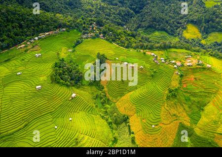 Risaie dell'isola di Bali, Indonesia Foto Stock