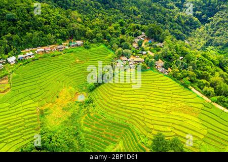 Risaie dell'isola di Bali, Indonesia Foto Stock