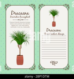 Modello d'etichetta vintage con pianta decorativa dracaena in vaso, illustrazione vettoriale Illustrazione Vettoriale