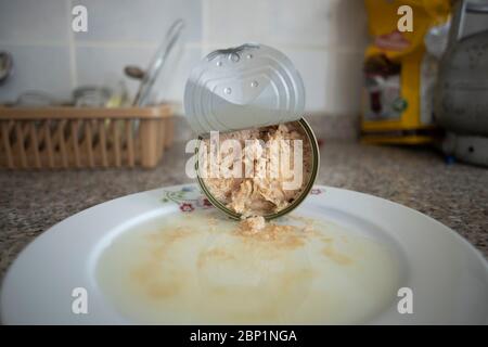 Tonno in scatola in una piastra di porcellana e sul banco della cucina. Versato sulla piastra. Primo piano. Foto Stock