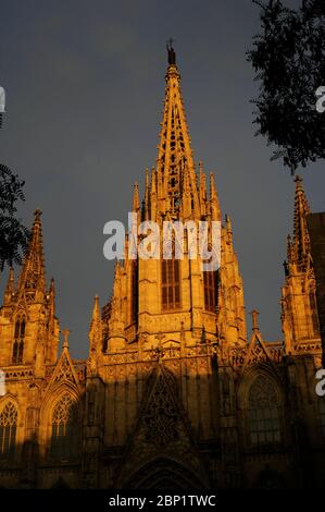 Cattedrale della Santa Croce e Sant'Eulalia a Barcellona, Spagna al tramonto Foto Stock