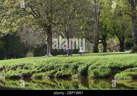 Peebles Scottish Borders, Regno Unito .3 maggio 20 . Coronavirus Covid-19 Pandemico vita quotidiana durante il blocco. Primavera Padre & figlia ciclo attraverso Hay L Foto Stock