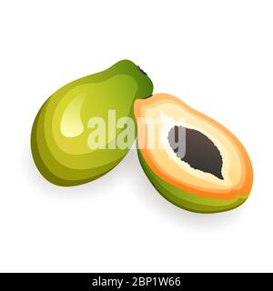 Papaya deliziosa isolato su sfondo bianco. Frutti tropicali organici, illustrazione vettoriale in stile piatto Illustrazione Vettoriale