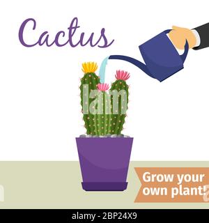 Mano con annaffiatura può riversa illustrazione vettoriale cactus per fioraio Illustrazione Vettoriale