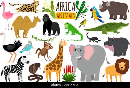 Animali africani. Vari animali selvatici dell'Africa, scimmia vettoriale o marmoset e leopardo, pappagallo e rinoceronte, cobra e struzzo caratteri isolati su bianco Illustrazione Vettoriale
