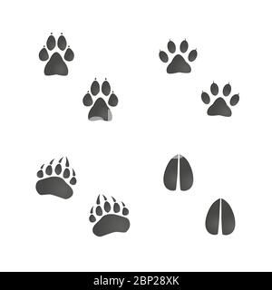 Set di impronte per animali: gatto, cane, zampa di orso, capriolo di cervo. Vettore grafico di illustrazione isolato Illustrazione Vettoriale