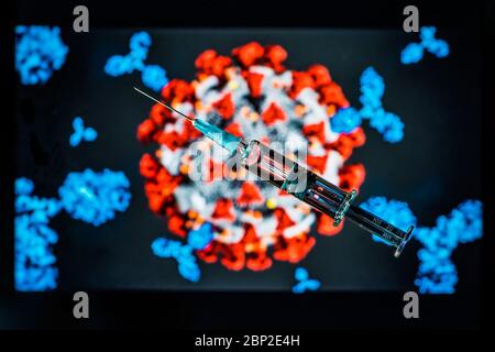 Immagine concettuale del vaccino 2019-nCoV del coronavirus (immunoglobulina IgG e modellazione del coronavirus). Foto Stock