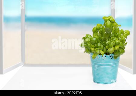 Ciao concetto di primavera. Composizione di erba basilico fresco verde in un recipiente di metallo blu su soleggiato finestre da cucina davanzale con vista su un astratto sfondo oceano. Foto Stock