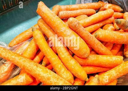 Foto mobile. Carote fresche sulla finestra del supermercato. Foto Stock