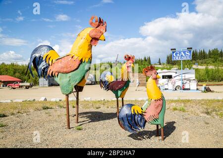 Statua di pollo e segnaletica nella piccola città mineraria dell'oro di Chicken, Alaska Foto Stock