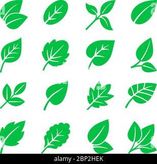 Icone delle foglie verdi. Simboli vettoriali a foglia, alberi a foglia segni isolati su bianco per logo naturale e etichette verdi Illustrazione Vettoriale