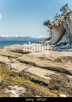 Rocce stratificate, alghe marine e archi erosi in arenaria sono visibili a bassa marea su un isolotto, con una vista sullo stretto della Georgia e sulle montagne della costa oltre. Foto Stock