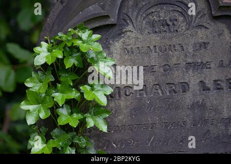 Ivy crescente su vecchia lapide nel cimitero. Chiesa della Santissima Trinità. Wordsley. West Midlands. REGNO UNITO Foto Stock