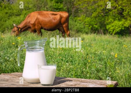 latte con mucca sullo sfondo Foto Stock