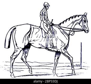 Un disegno di Attila vincitore del 1842 Epsom Derby (UK) e il suo fantino Bill Scott, disegnato sull'ippodromo subito dopo la gara. Attila (1839–1846) è stato uno stallone e un sirone britannico. Morì all'età di sette anni per lesioni subite in un incidente a bordo di una nave nella Manica. Allevatore è stato il colonnello Hancox, addestratore John Scott e proprietario generale principale George Anson. Il pilota è William 'Bill' Scott fratello dell'allenatore di Whitewall Stables a Malton, North Yorkshire. Bill ha detto sul suo letto di morte che 'non aveva mai tirato un cavallo nella sua vita' Foto Stock