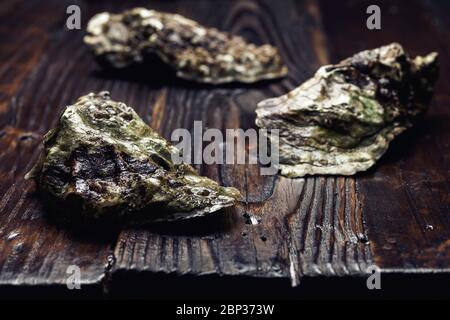 Ostrica cruda con conchiglie chiuse su tavola di legno. Primo piano. Messa a fuoco selettiva. Foto Stock