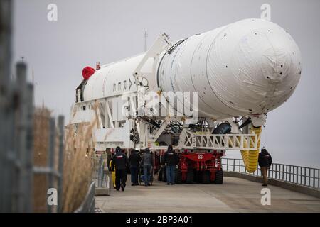 Northrop Grumman Antares CRS-13 Rollout UN razzo Northrop Grumman Antares arriva al lancio Pad-0A, mercoledì 5 febbraio 2020, presso la struttura di volo Wallops della NASA in Virginia. La tredicesima missione di rifornimento del carico con contratto della NASA presso la Stazione spaziale Internazionale di Northrop Grumman fornirà oltre 7,500 libbre di scienza e ricerca, forniture di equipaggio e hardware per veicoli al laboratorio orbitale e al suo equipaggio. La navicella spaziale CRS-13 Cygnus prende il nome dal primo astronauta afro-americano, il maggiore Robert Henry Lawrence Jr., e sarà lanciata alle 17:39 EST domenica 9 febbraio. Foto Stock