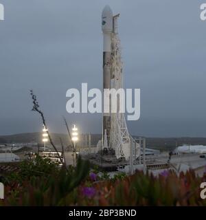 GRACE-FO Prelaunch il razzo SpaceX Falcon 9 è visto con la NASA/Centro di Ricerca tedesco per le Geoscienze GRACE Follow-on a bordo, Lunedi, 21 maggio 2018, presso il complesso di lancio spaziale 4E alla base dell'aeronautica di Vandenberg in California. La missione misurerà i cambiamenti nel modo in cui la massa viene ridistribuita all'interno e tra l'atmosfera della Terra, gli oceani, la terra e le ghiacci, così come all'interno della Terra stessa. GRACE-FO sta condividendo la sua corsa in orbita con cinque satelliti di comunicazione Iridium NEXT come parte di un accordo commerciale di risaratura. Foto Stock