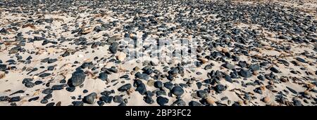 Piccole pietre nere e conchiglie sparse sulla spiaggia, immagine di striscione Foto Stock