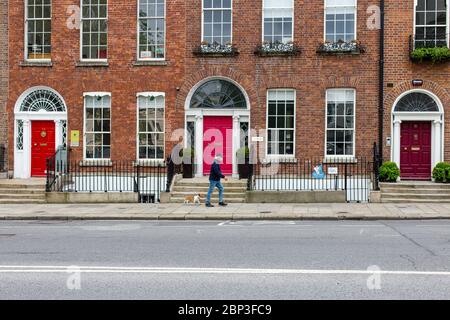 Dublino, Irlanda. Maggio 2020. L'uomo che indossa una maschera cammina con un cane lungo la deserta Upper Merrion Street. Covid-19. Le famose porte rosse di Dublino. Foto Stock