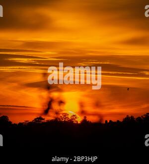 Wimbledon, Londra, Regno Unito. 17 maggio 2020. Il sole arancione brillante illumina il cielo occidentale mentre affonda dietro Wimbledon Hill nel sud-ovest di Londra. Credit: Malcolm Park/Alamy Live News. Foto Stock