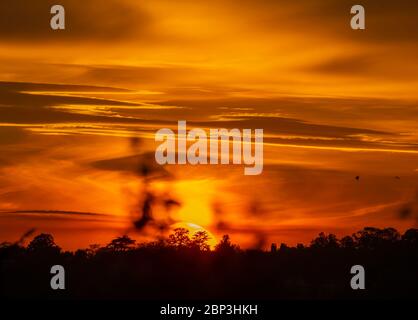 Wimbledon, Londra, Regno Unito. 17 maggio 2020. Il sole arancione brillante illumina il cielo occidentale mentre affonda dietro Wimbledon Hill nel sud-ovest di Londra. Credit: Malcolm Park/Alamy Live News. Foto Stock