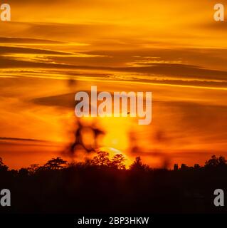 Wimbledon, Londra, Regno Unito. 17 maggio 2020. Il sole arancione brillante illumina il cielo occidentale mentre affonda dietro Wimbledon Hill nel sud-ovest di Londra. Credit: Malcolm Park/Alamy Live News. Foto Stock