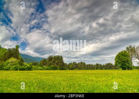 Lago di Cerknica, Cerkniško jezero Foto Stock