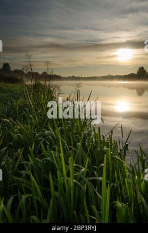 Alba di prima mattina a Forfar Loch, Angus Scozia. Foto Stock