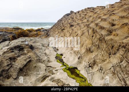 Costa frastagliata vicino a Tow Hill nel Parco Provinciale di Naikoon, Haida Gwaii, Columbia Britannica Foto Stock