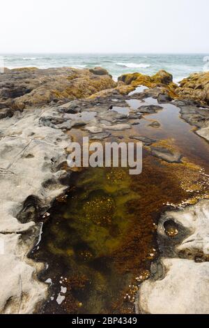 Costa frastagliata vicino a Tow Hill nel Parco Provinciale di Naikoon, Haida Gwaii, Columbia Britannica Foto Stock