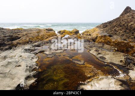 Costa frastagliata vicino a Tow Hill nel Parco Provinciale di Naikoon, Haida Gwaii, Columbia Britannica Foto Stock