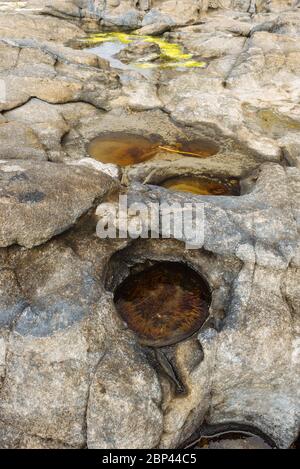 Piscine maree vicino a Tow Hill nel Parco Provinciale di Naikoon, Haida Gwaii, Columbia Britannica Foto Stock