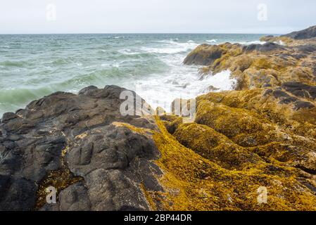 Costa frastagliata vicino a Tow Hill nel Parco Provinciale di Naikoon, Haida Gwaii, Columbia Britannica Foto Stock