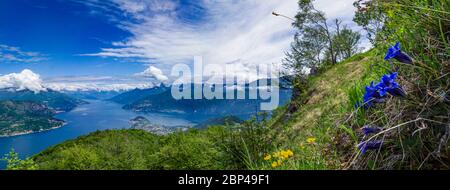 Paesaggio del Lago di Como dal Monte Nuvolone Foto Stock